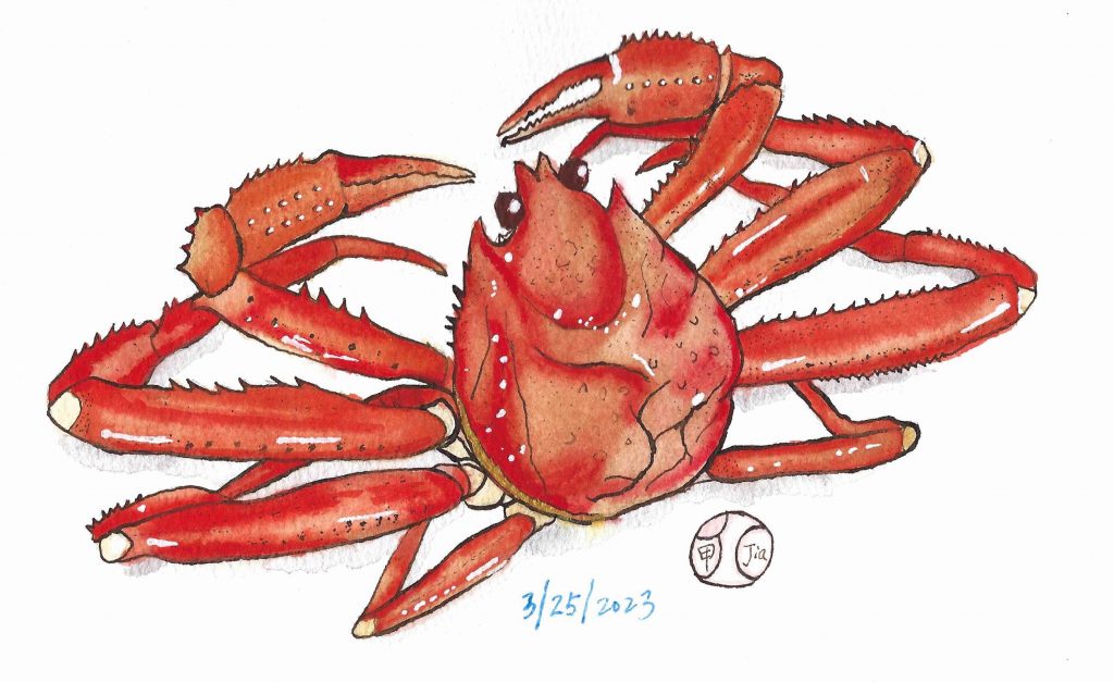 Drawing of a crab