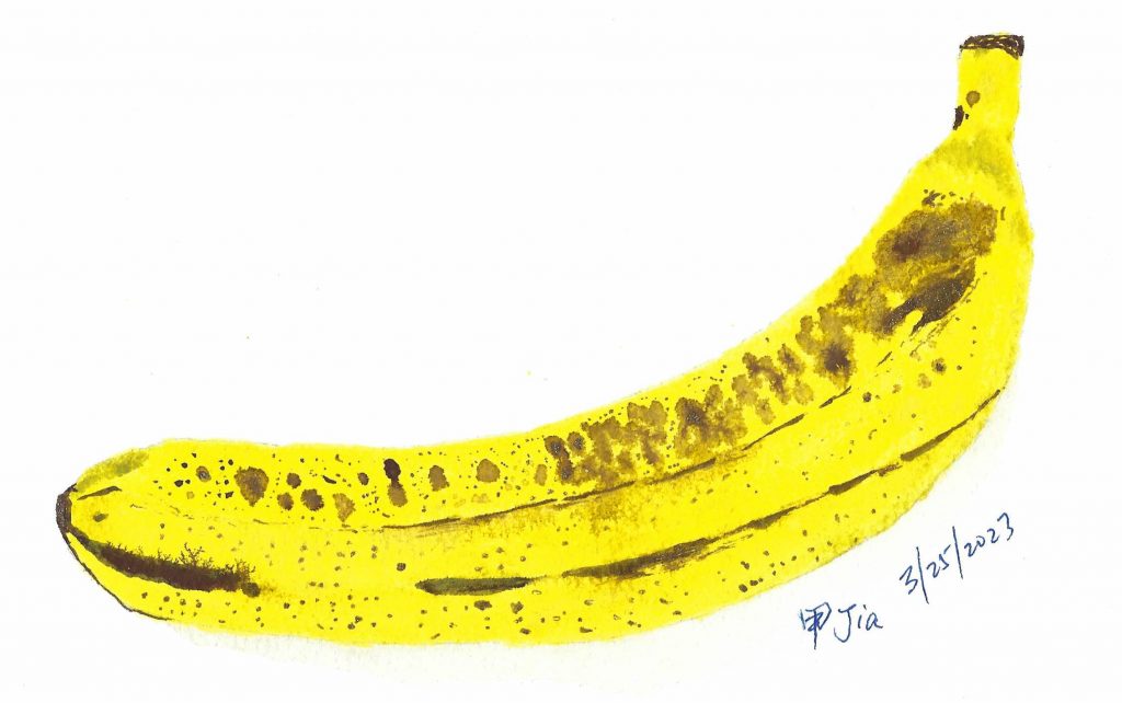 Drawing of a banana