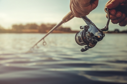 fishing rod fishing in water 